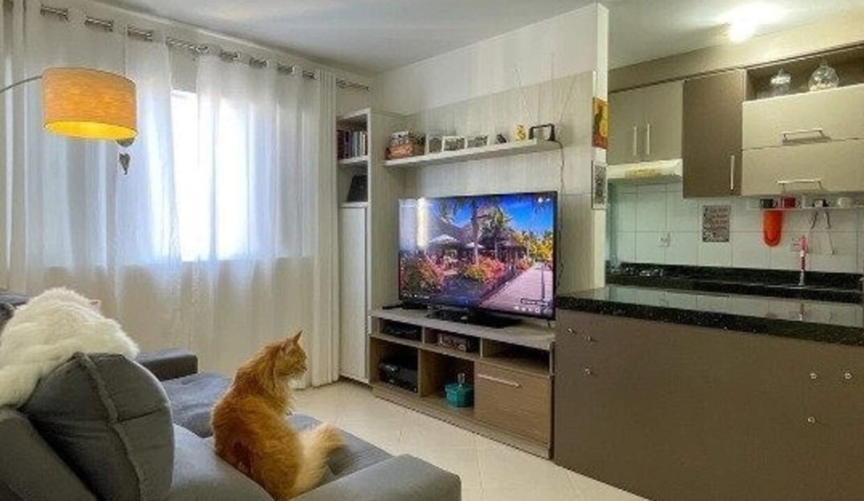 1725487993365_whatsapp-image-2024-08-28-at-11.28.32-1-clietec